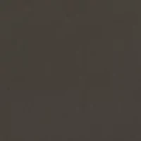 Reversible Belt 25MM