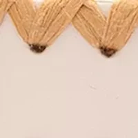 Bow Belt with Straw Edge
