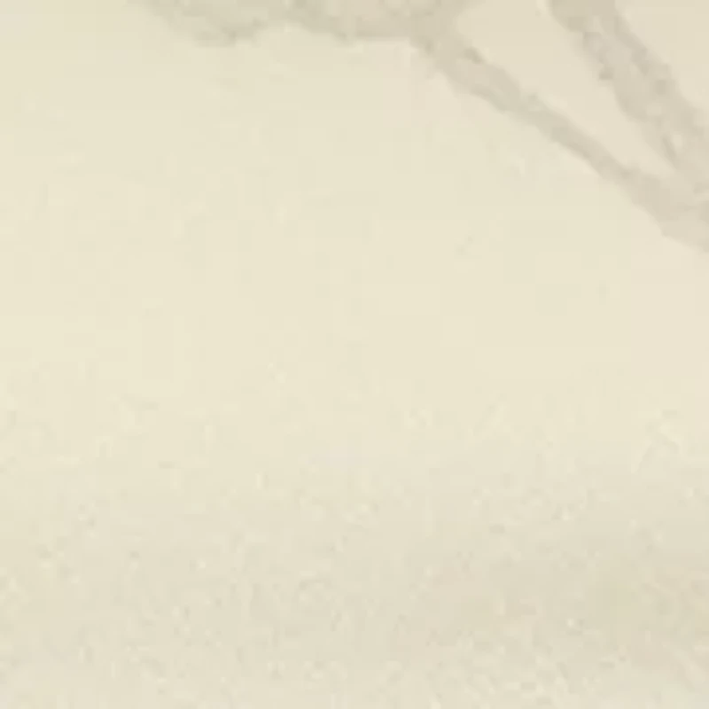 Catalog Printed Silk Bandana 