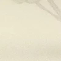 Catalog Printed Silk Bandana 