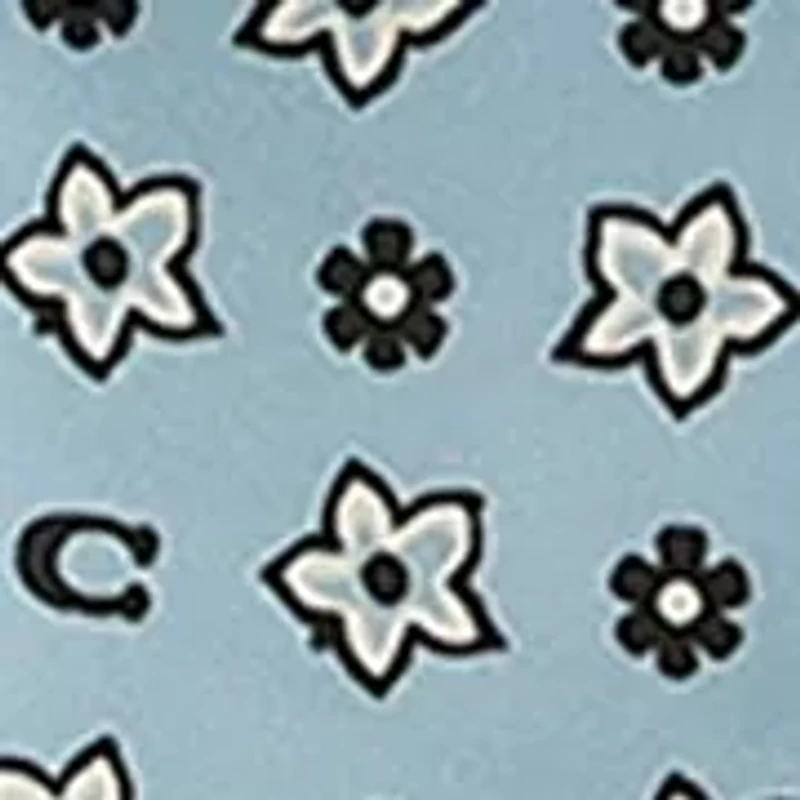 Western Floral Printed Silk Skinny Wrap