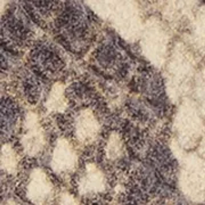 Women's Slim Textured Croc Belt with Double E Plaque Logo Buckle