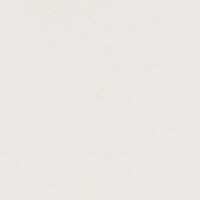 Metal Loop Slim 1" Fashion Belt