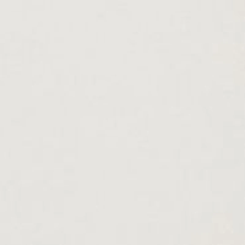 Two One Reversible Centerbar Statement Buckle Belt