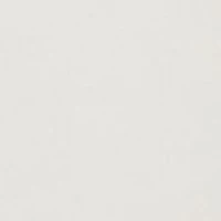 Two One Reversible Centerbar Statement Buckle Belt