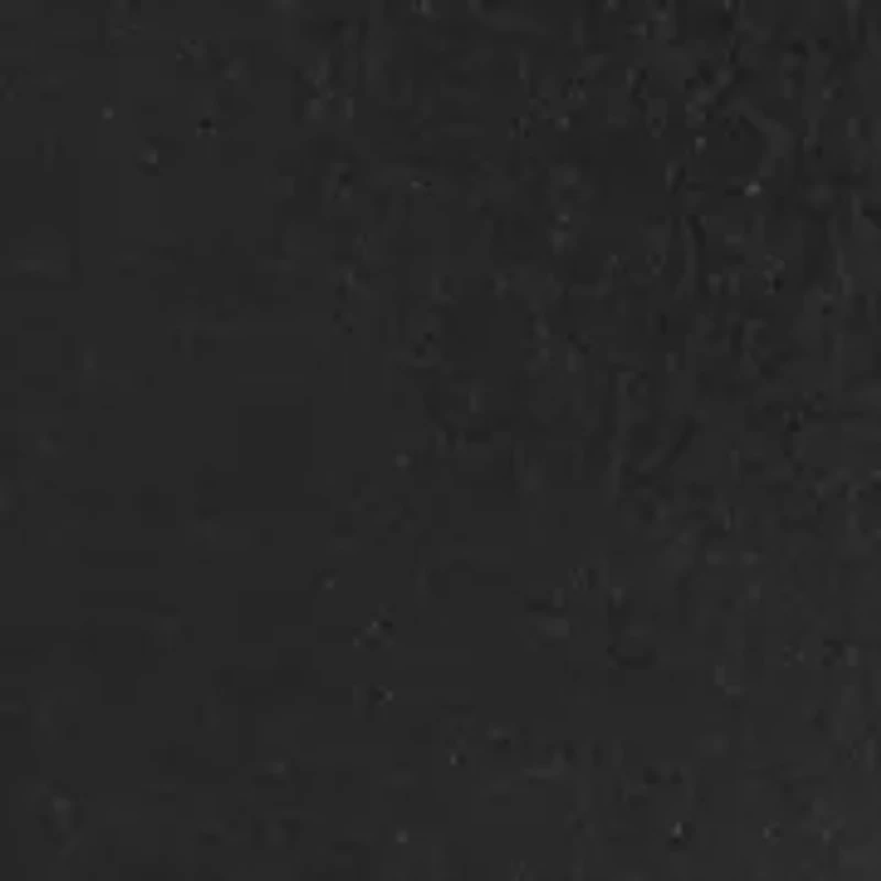 Western Concho Fashion Belt