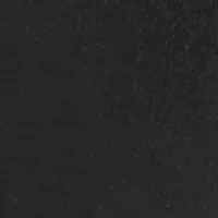 Western Concho Fashion Belt