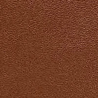 True Religion Double-Zip Horseshoe Camera Bag