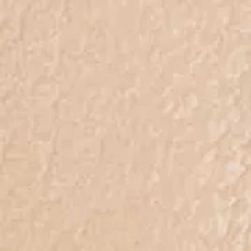 True Religion Horseshoe Plaque Mini Zip-Around Wallet