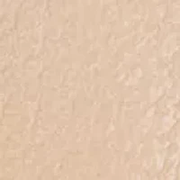 True Religion Horseshoe Plaque Mini Zip-Around Wallet