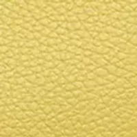 Remy Top Zip Shoulder Bag