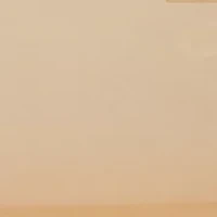 Hadlee Small Jelly Tote Bag