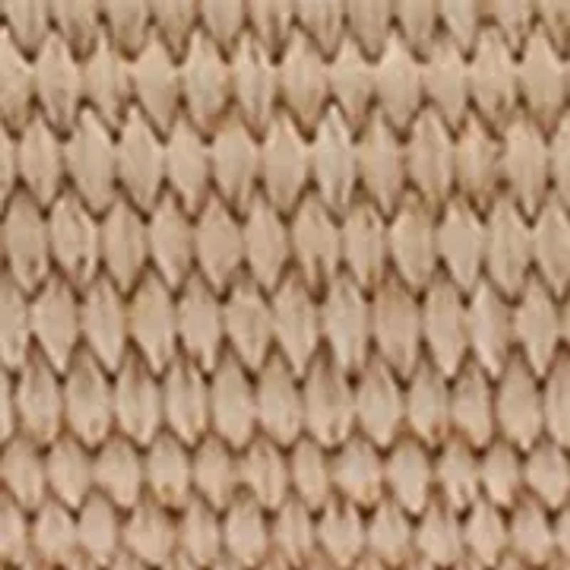 Straw Hadlee Small Tote Bag