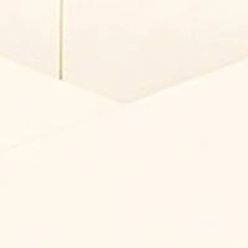 Bouid Woven Leather Small Tote