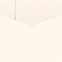 Bouid Woven Leather Small Tote