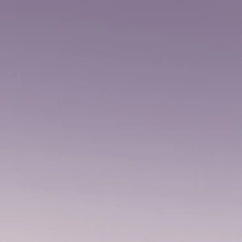 Plastic Rectangular Sunglasses