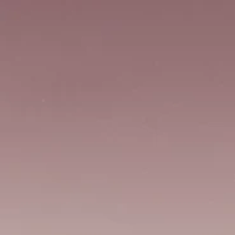 Plastic Rectangular Sunglasses