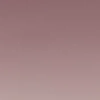 Plastic Rectangular Sunglasses