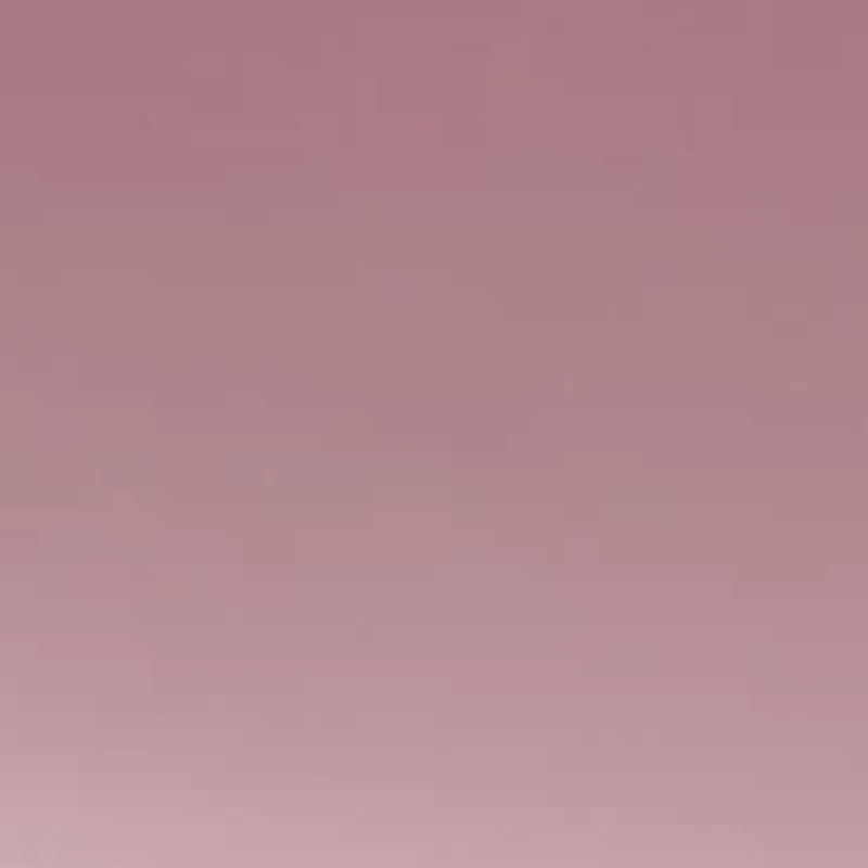 Plastic Cat Eye Sunglasses