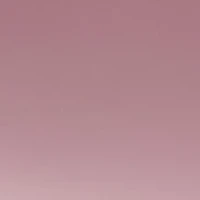 Plastic Cat Eye Sunglasses