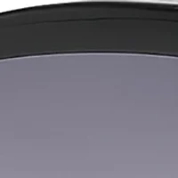 Oval Plastic Sunglasses