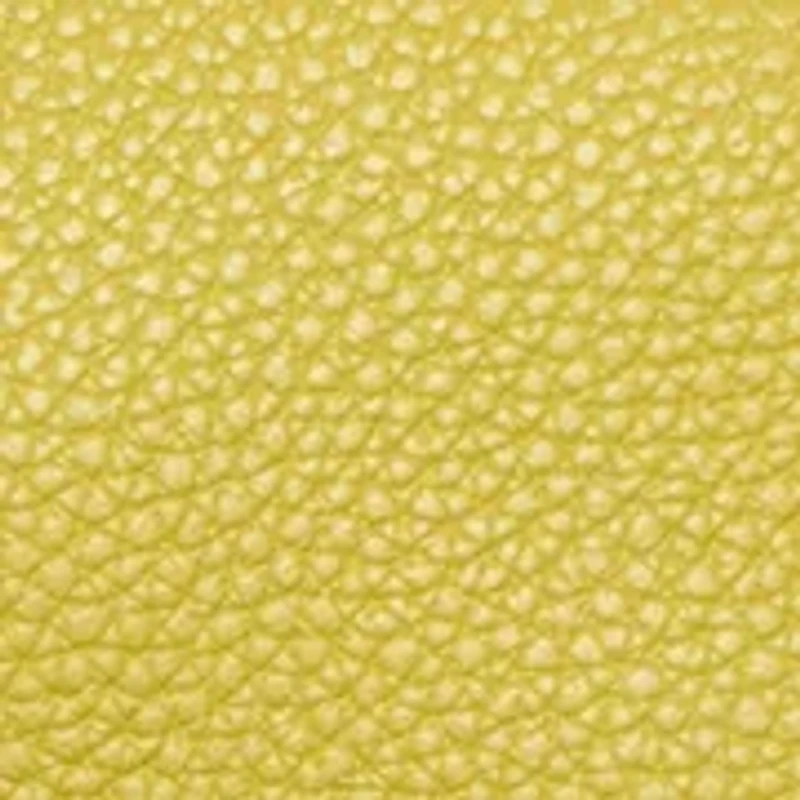 Pebble Leather Crossbody