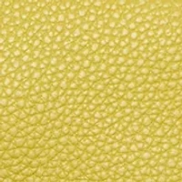 Pebble Leather Crossbody