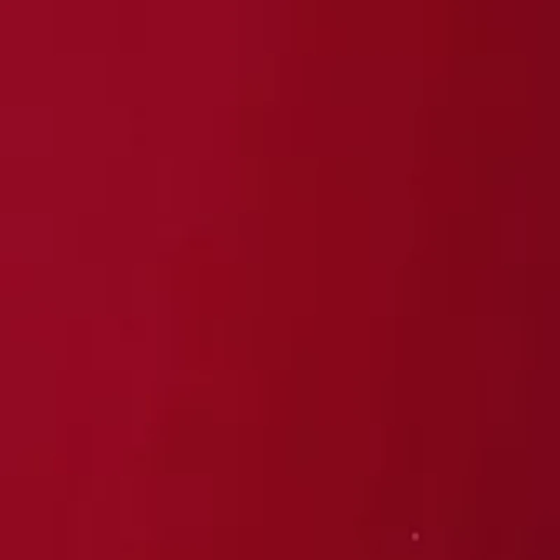 The Spade Patient Leather Flower Bucket Bag