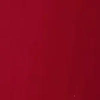 The Spade Patient Leather Flower Bucket Bag