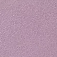 Loop Glazed Leather Crossbody