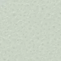 Mini Glazed Leather Zip Card Case