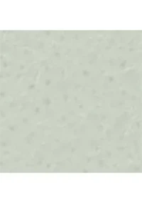 Mini Glazed Leather Zip Card Case