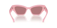 SK6021  Sunglasses