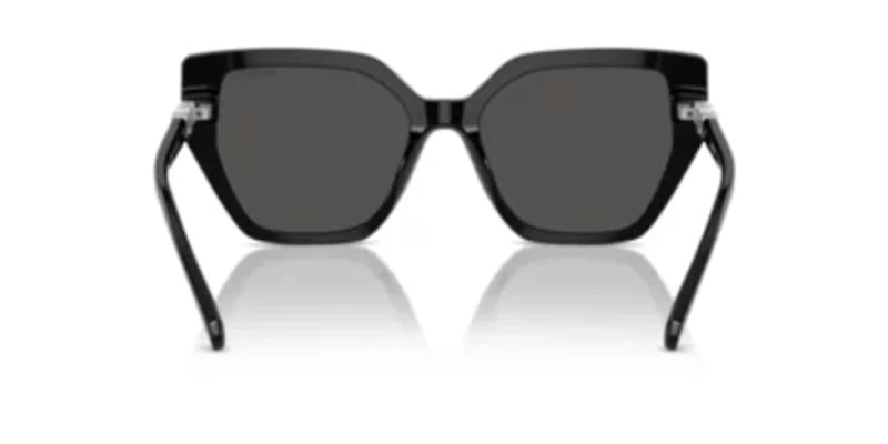 SK6016  Sunglasses