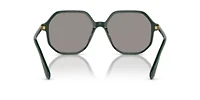 SK6003 Sunglasses