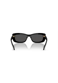 SK6008 Sunglasses