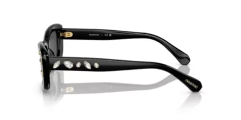 SK6008 Sunglasses