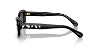 SK6008 Sunglasses
