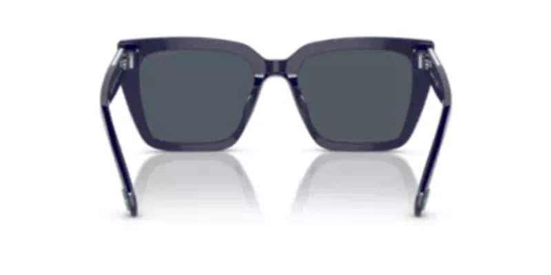 SK6013 Sunglasses