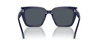 SK6013 Sunglasses