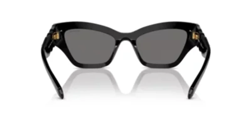 SK6021 Polarized Sunglasses