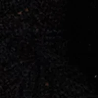 Women's Pretty Pointelle Shrug