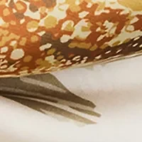 Mosaic Tile Starfish Square Scarf
