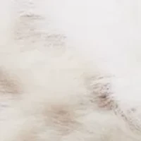 Women's Leopard Print Fur Clogs