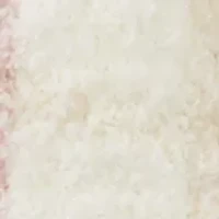 Women's Anklet Socks 3-Pair Pack