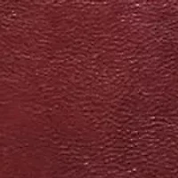 Dancing Bamboo Leather Tote