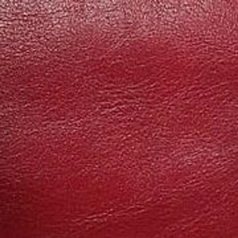 Brassia Leather Tote