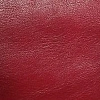 Brassia Leather Tote