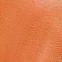 Calla Tote