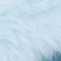 Fur Logo Slides